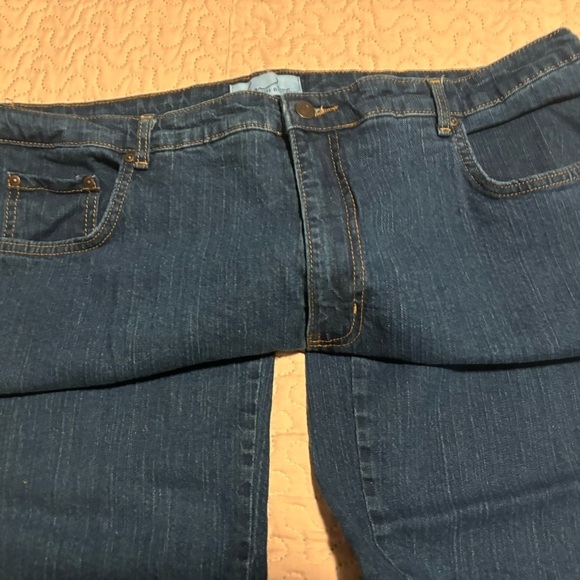 Kim Rogers Womens Jeans Straight Legs Size 22 Short Spandex Cotton - Picture 5 of 6